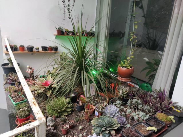 Sobrado para Venda em Santo André - 3